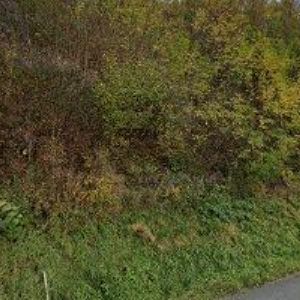 obrazek: avatar LASER CUT s.r.o.