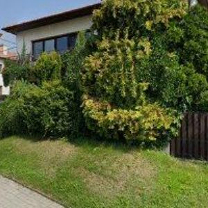 obrazek: avatar LED PASSIVE