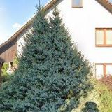 HARNÁDEK MILAN-ELEKTRO MONTÁŽE