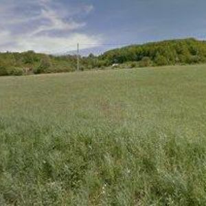 obrazek: avatar M.E.Z. POHONY a.s.