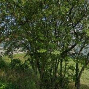 obrazek: avatar DD ELEKTRO s.r.o.