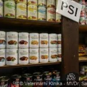 obrazek: avatar VETERINÁRNÍ KLINIKA LOMNICE NAD POPELKOU