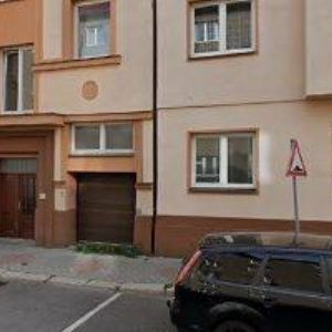 obrazek: avatar GEORGE-PETFOODS