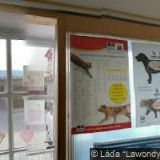 CVRČEK VETERINÁRNÍ KLINIKA