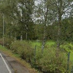 obrazek: avatar BELLA-PELANT JIŘÍ