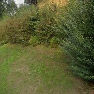 obrazek: avatar AKVÁRIA-MÁDL DANIEL