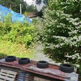 FORENA-UMĚLÉ BETONOVÉ NORY, NAPAJEDLA PRO ZVĚŘ, BETONOVÉ SKLOPCE