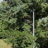 CANIS & FELIS s.r.o.