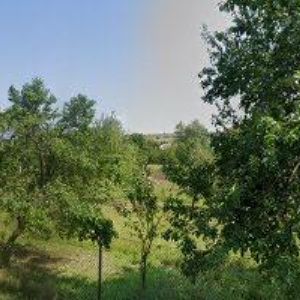 obrazek: avatar ALUMAT