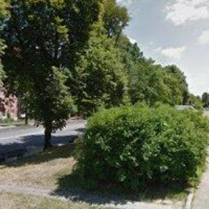 obrazek: avatar OSTRČILÍKOVÁ PAVLA