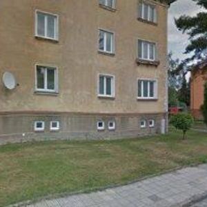 obrazek: avatar PSÍ SALON MAYLLA