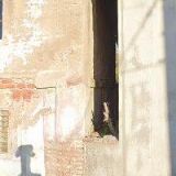 FIRMA VRŠŤALA s.r.o.