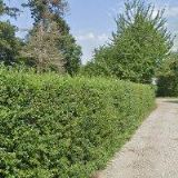 NĚMCOVÁ LUCIE-ZAHRÁDKÁŘSKÉ POTŘEBY