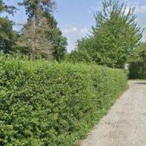 obrazek: avatar NĚMCOVÁ LUCIE-ZAHRÁDKÁŘSKÉ POTŘEBY