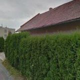 OKRASNÉ ZAHRADNICTVÍ ŠPAČEK