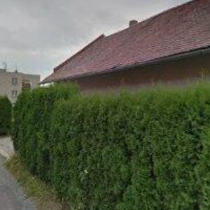 obrazek: avatar OKRASNÉ ZAHRADNICTVÍ ŠPAČEK