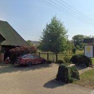 obrazek: avatar OKRASNÉ ZAHRADNICTVÍ TONJA