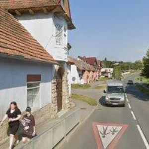 obrazek: avatar KOSEČKOVÁ DANIELA-KVĚTINY A ZAHRADKÁŘSKÉ POTŘEBY