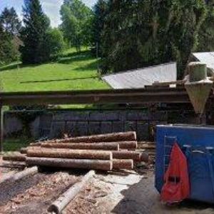 obrazek: avatar STROMKOVICKÁ PILA