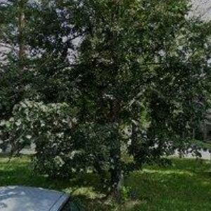 obrazek: avatar GARDEN-PARTS