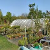 ZAHRADNICTVÍ NOVÝ BOR DOUBEK JAN