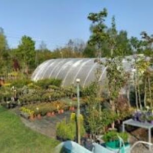 obrazek: avatar ZAHRADNICTVÍ NOVÝ BOR DOUBEK JAN