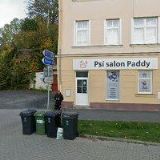 PADDY SALON