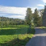 MAZÁNEK JIŘÍ-PRODEJ OVOCE