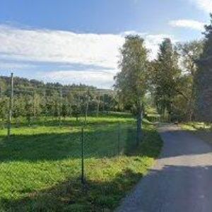 obrazek: avatar MAZÁNEK JIŘÍ-PRODEJ OVOCE