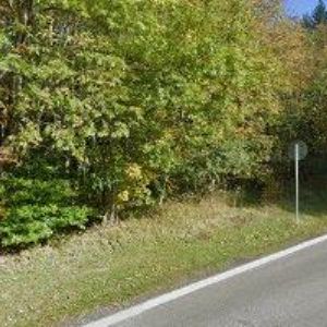 obrazek: avatar DENDRIA s.r.o.