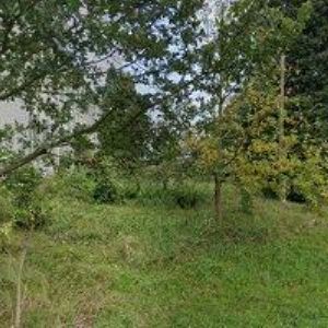 obrazek: avatar VELKOVÝKRMNY ZÁKUPY, a.s.