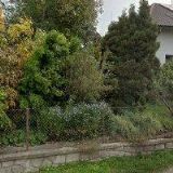 VETERINÁRNÍ ORDINACE LAŽANY