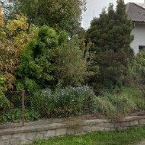 obrazek: avatar VETERINÁRNÍ ORDINACE LAŽANY