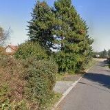 PAVLÍČEK LADISLAV-LES-ZAHRADA