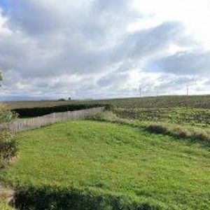 obrazek: avatar TEA OF PARADISE