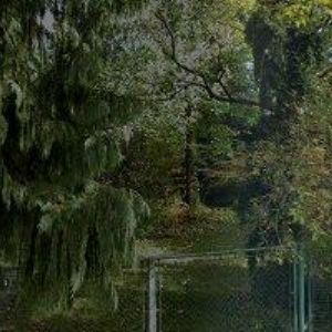 obrazek: avatar VETERINÁRNÍ KLINIKA RICHTEROVI