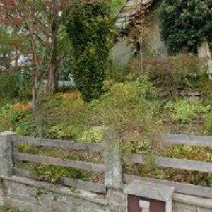 obrazek: avatar PEVNÝ JIŘÍ-FUCHSIE