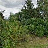 JAHODÁRNA VESELÁ, s.r.o.