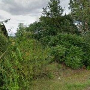 obrazek: avatar JAHODÁRNA VESELÁ, s.r.o.