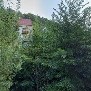 obrazek: avatar CHOVATELSKÁ STANICE Z HARCOVA