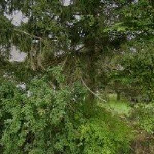 obrazek: avatar BENEŠ ANTONÍN