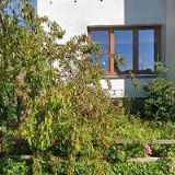 KVĚTINOVÉ MINISTUDIO