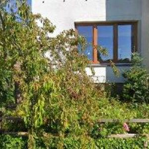 obrazek: avatar KVĚTINOVÉ MINISTUDIO