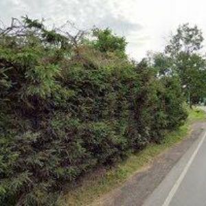 obrazek: avatar ŠTĚPÁN MARTIN