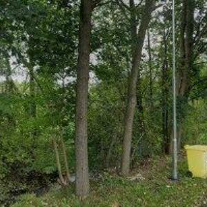 obrazek: avatar ČESKÝ ČESNEK