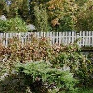 obrazek: avatar DOČEKAL ANTONÍN