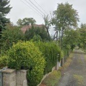 obrazek: avatar ČESKÉ ZAHRADY-JAROŠ JIŘÍ