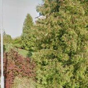 obrazek: avatar JANÁT DOLISTA PETR