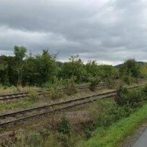 obrazek: avatar ZEMĚDĚLSKÉ DRUŽSTVO KOŠŤÁLOV