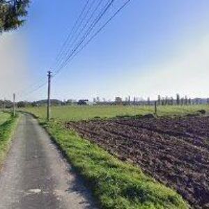 obrazek: avatar HAMPL ROBERT